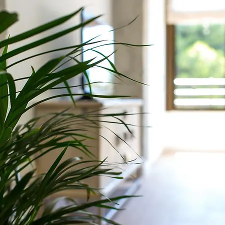 Apartment New San Juan With Ac *